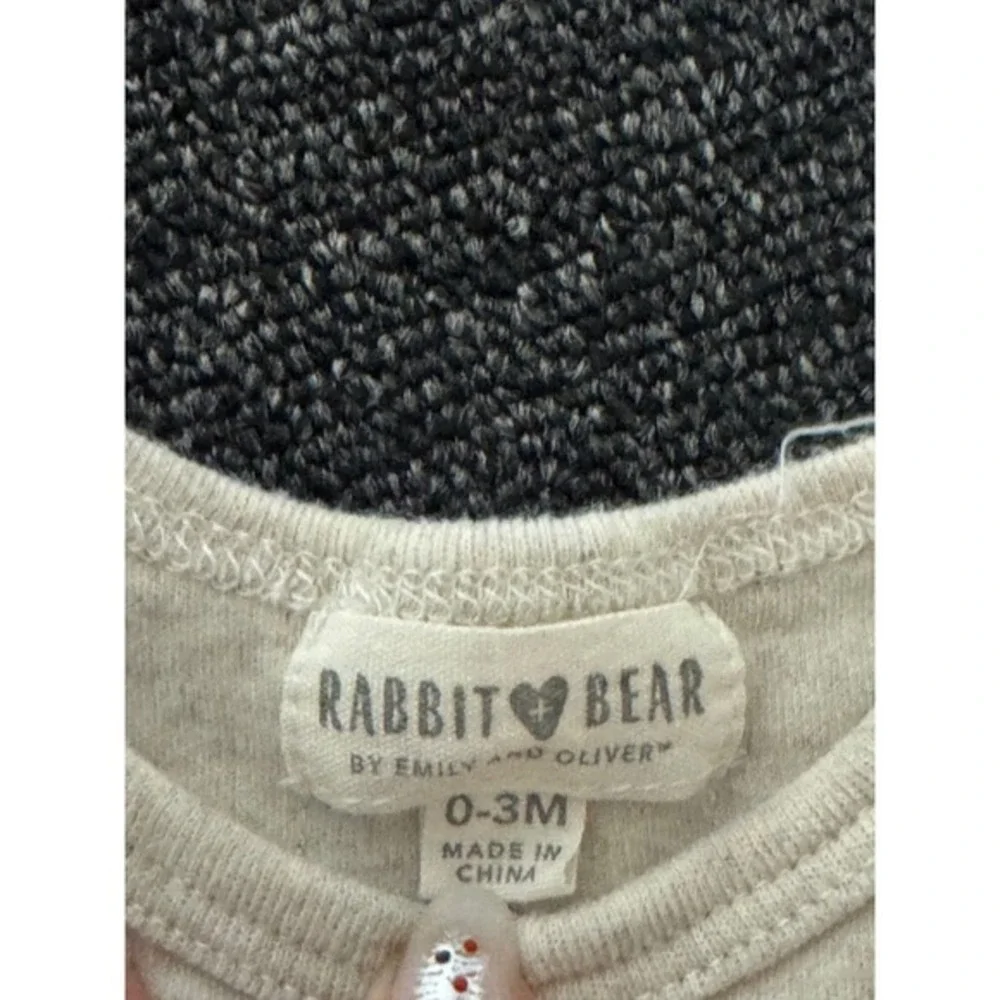 Rabbit Bear Baby Organic Cotton Set of 2 Bodysuits 0-3 Months Carrots Best Mommy